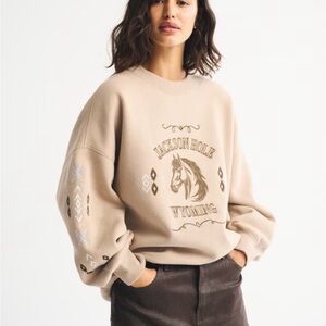 NWT A&F Wyoming Oversized Sunday Crew, Sz M